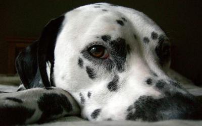 MJR e suoi 2 precisi dubbi di cui uno comune a tanti scrittori