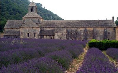 Intervista a Luca Terenzoni: ma che ci faceva in Borgogna?