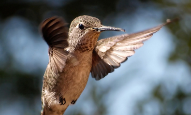 Il Coraggio di Giuseppina Martinelli, autrice di Libertà Violata