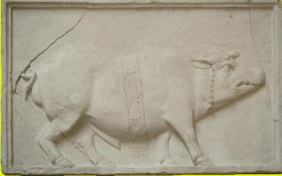 Intervista sul Self Publishing a Marco Bonafede Scrittore di Romanzi e Autore di Libri di Fumetti