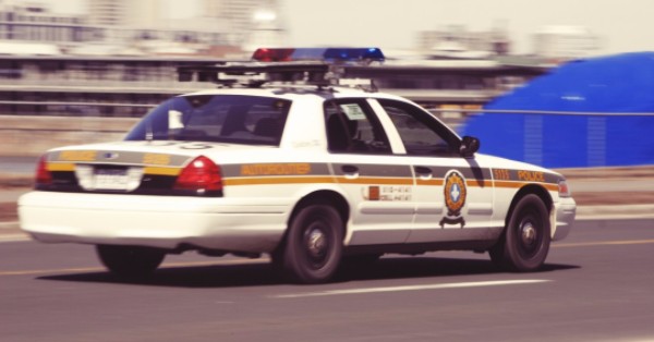 Stefano Vignaroli, Il Commissario Ruggeri Vero Cult Marchigiano